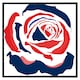 image 2 of Red & blue rose print (Picutre Frame) White | M