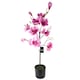 image 1 of Artificial 110cm Magnolia Artificial Tree Pink Potted