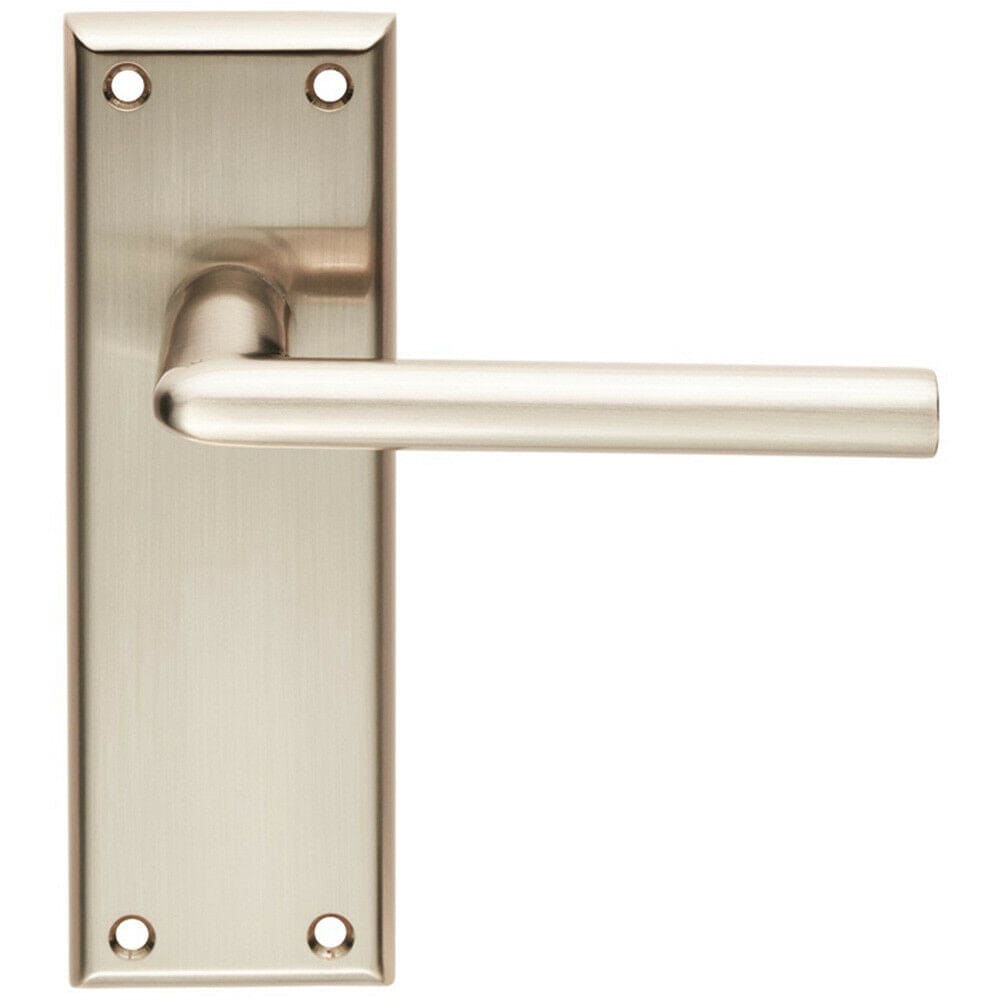 Loops PAIR Rounded Lever on Latch Backplate Door Handle 150 x 50mm Satin Nickel in Metallics