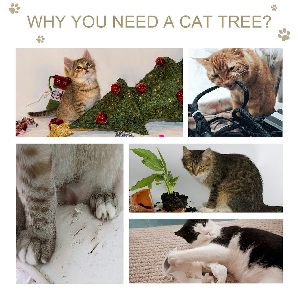 image 1 of PawHut Multi-level Cat Tree Tower with Condo Scratching Post, 150cm, Grey