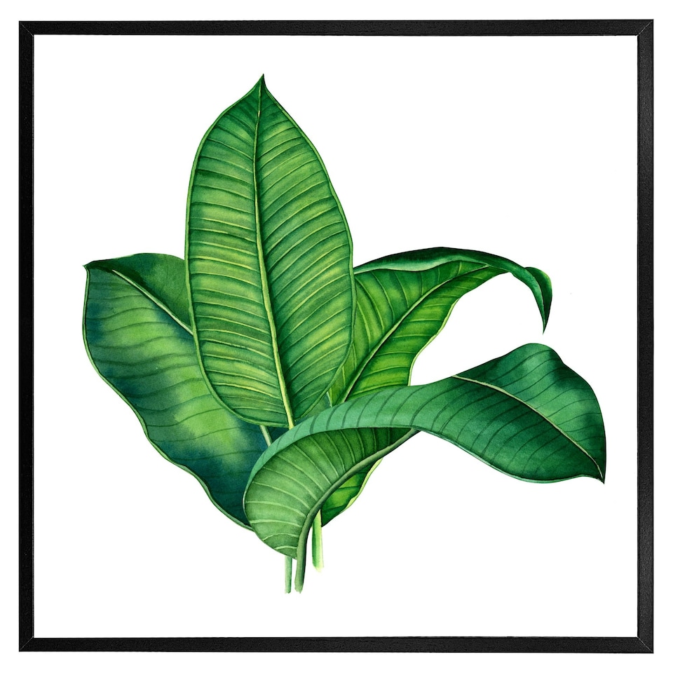 image 1 of Bunched leaves (Picture Frame) Brown | Oak | S