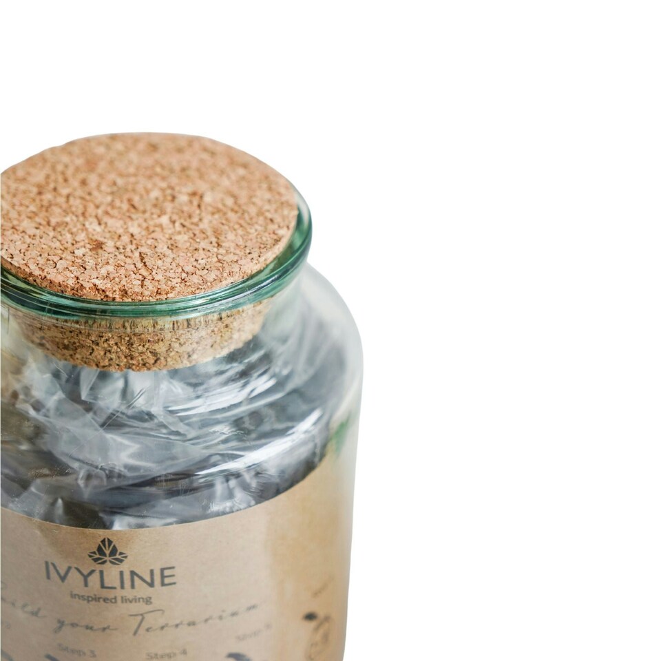 image 1 of Bottle Shape Large Terrarium DIY Kit Clear