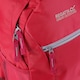 image 4 of Kids' Jaxon Ill 10L Rucksack Pink