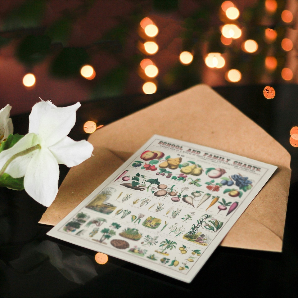 image 1 of Willson and Calkins Art Card School And Family Charts No XXI