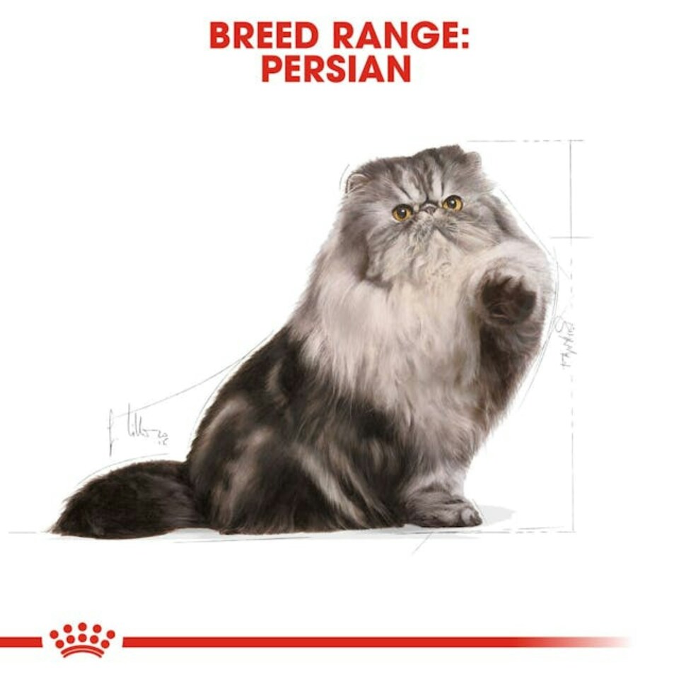 image 1 of Royal Canin Cat Persian Adult 10KG