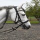 image 2 of Rhinegold Anatomical Cavesson Bridle Black | Size: Pony
Colour: Black