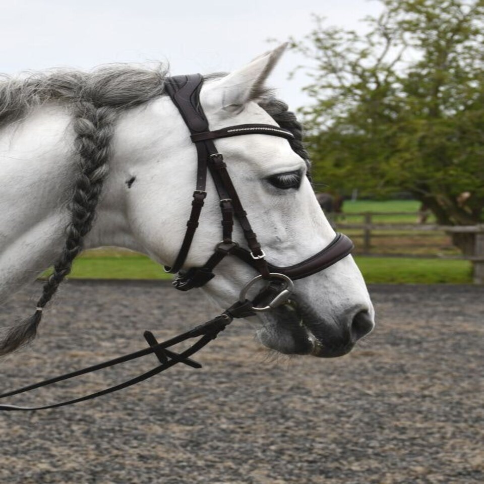 image 1 of Rhinegold Anatomical Cavesson Bridle Black | Size: Pony
Colour: Black