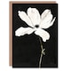 image 1 of Greeting Card White Flower Bloom Black Background Watercolour Sympathy