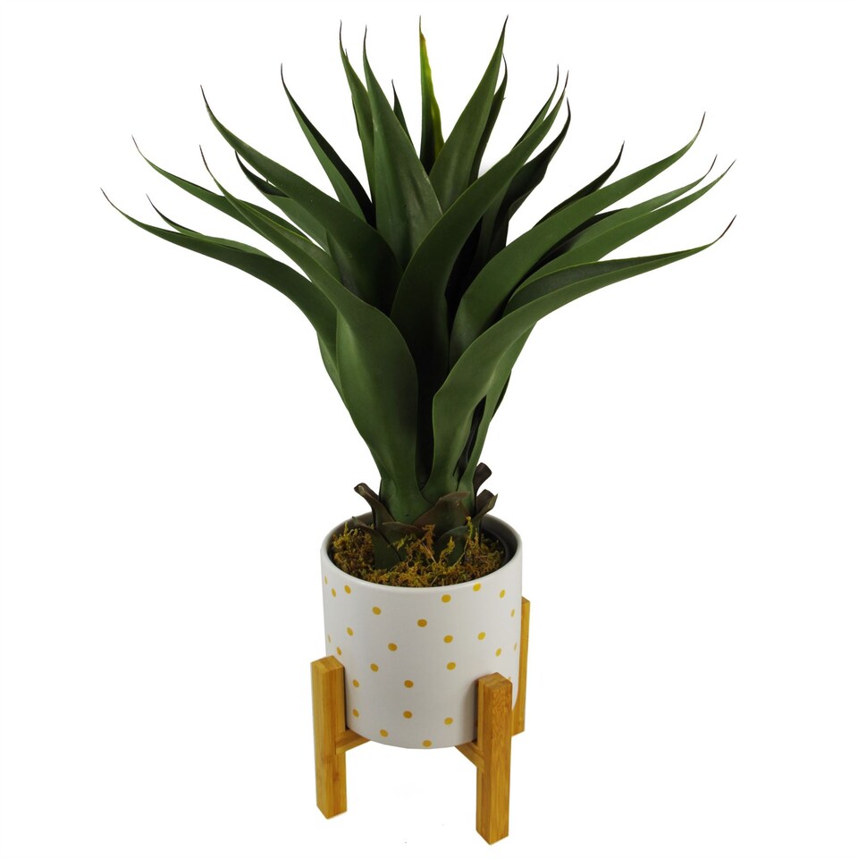 image 1 of 55cm Artificial Tropical Yucca Plant | Green | One Size