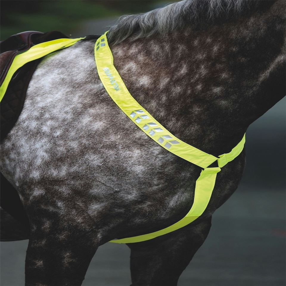 image 1 of Shires Equi-Flector® Breastplate Orange | Size: Pony/Cob
Colour: Orange
