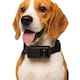 image 6 of PetPOV (HD Camera Collar) Black | M