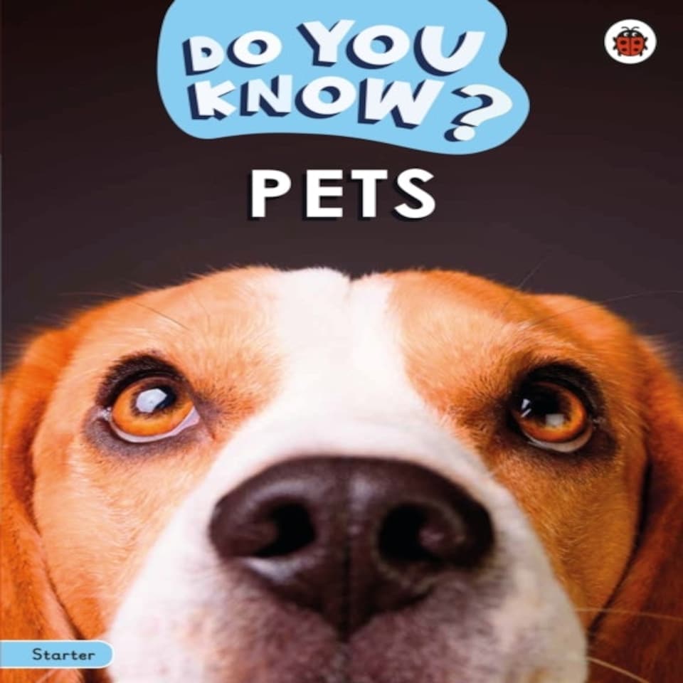 Do You Know Pets Starter Level