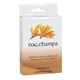 image 1 of Something Different Elements Nag Champa Incense Cones - Brown - One Size