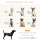 image 5 of PawHut Dog Sofa Pet Lounge Bed w/ Anti-slip Legs for Small-Sized Dogs - Grey