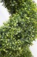 image 3 of Artificial Topiary Grass Spiral Swirl Bush 150cm