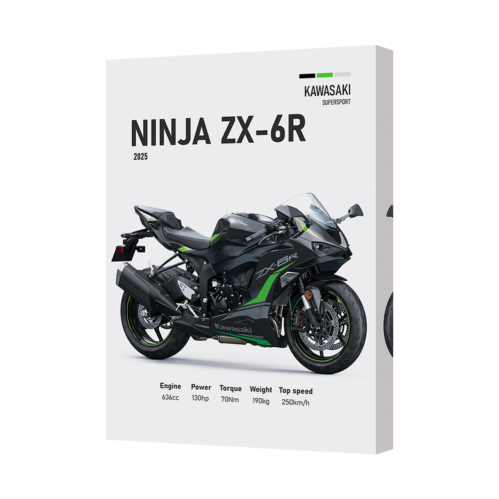Kawasaki Ninja ZX6R Canvas Wall Art Print Motorcycle Decor