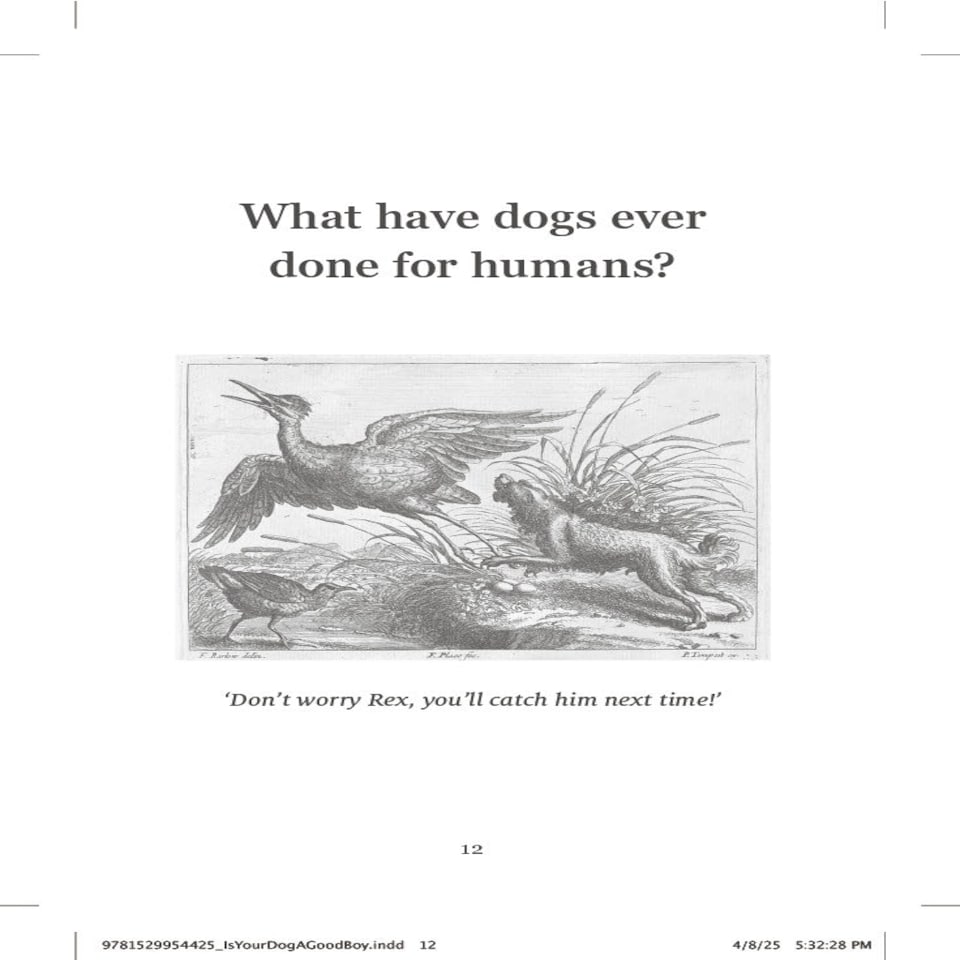 image 1 of Is Your Dog A Good Boy?