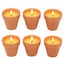 Set of 6 - Selected
