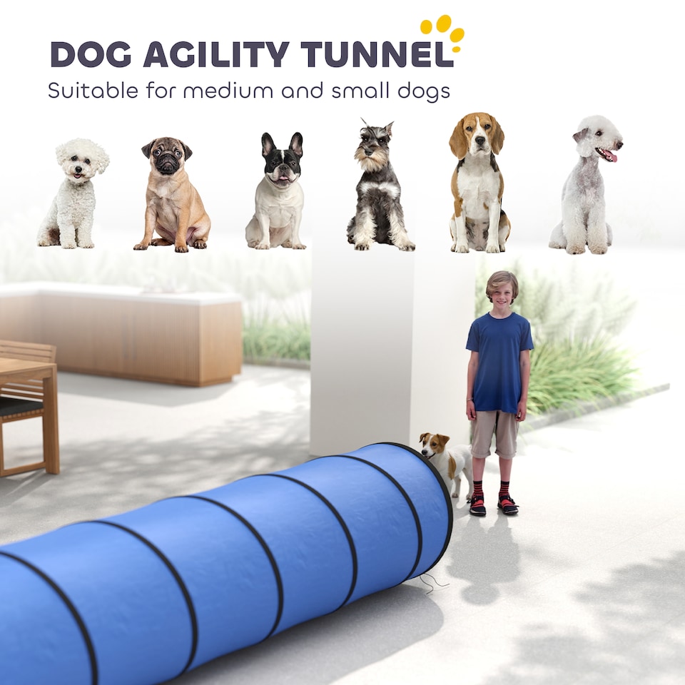 image 1 of PawHut Dog Tunnel 300cm , Foldable Play Tunnel with 4 Ground Pegs and Bag | Blue | Blue | 300 x 50 x 50 cm