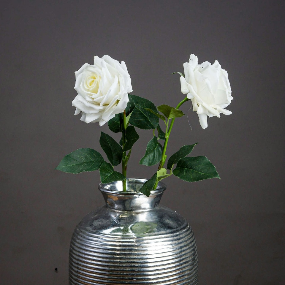 Hill Interiors Garden Rose Artificial Flower - White/Green - One Size