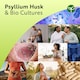 image 3 of Nutravita Psyllium Husk 4500mg with 500 Million CFU - Fibre Supplement Supports Digestive Balance - Made in the UK - 180 Psyllium Husks Capsules
