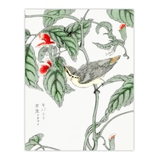 Tree Creeper Pea Japanese Vintage Japan Wall Art Print Kashu 12x16"