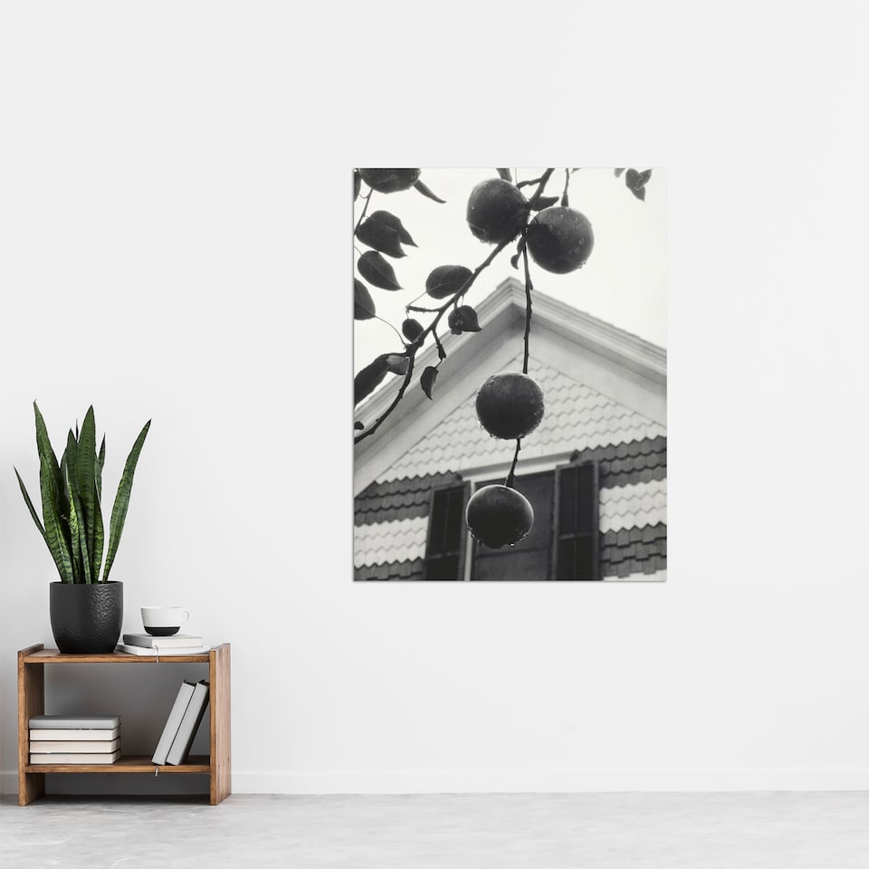 image 1 of Gable and Apples Photograph Alfred Stieglitz Huge Wall Art Poster Print 24X32"