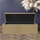 image 2 of 180cm Large Plain Safar Storage Ottoman Box, Mink Plush Velvet Upholstered Deep Storage Ottoman End of Bed Bench