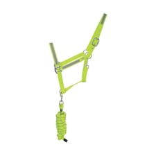 HyVIZ Reflector Head Collar and Lead Rope - Yellow - Cob