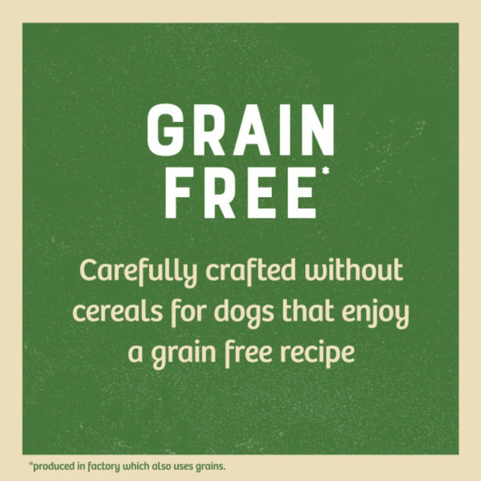 image 1 of James Wellbeloved Grain-Free Adult Dog Wet Food Lamb in Gravy 12x100g