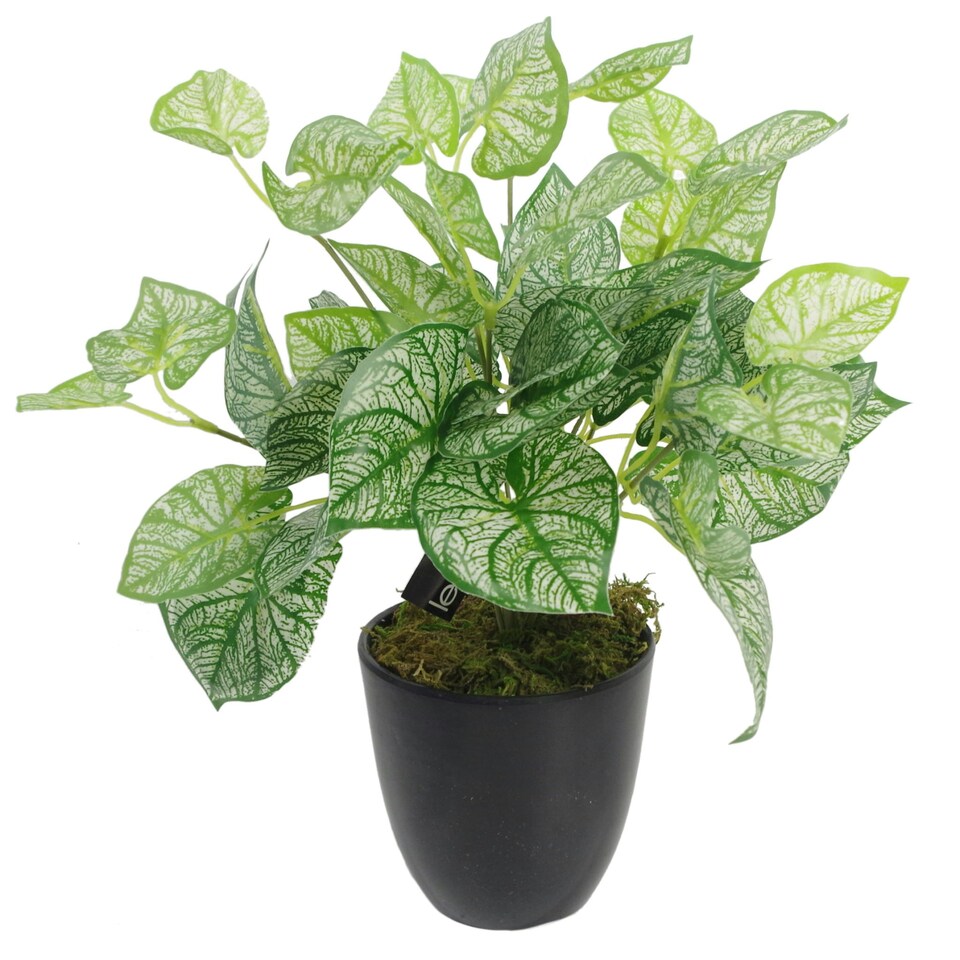 image 1 of Artificial Foliage Plant Pot 40cm Caladium Plants
