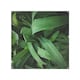 image 1 of Atmospheric background, Selective focus Designer Splash Back | White