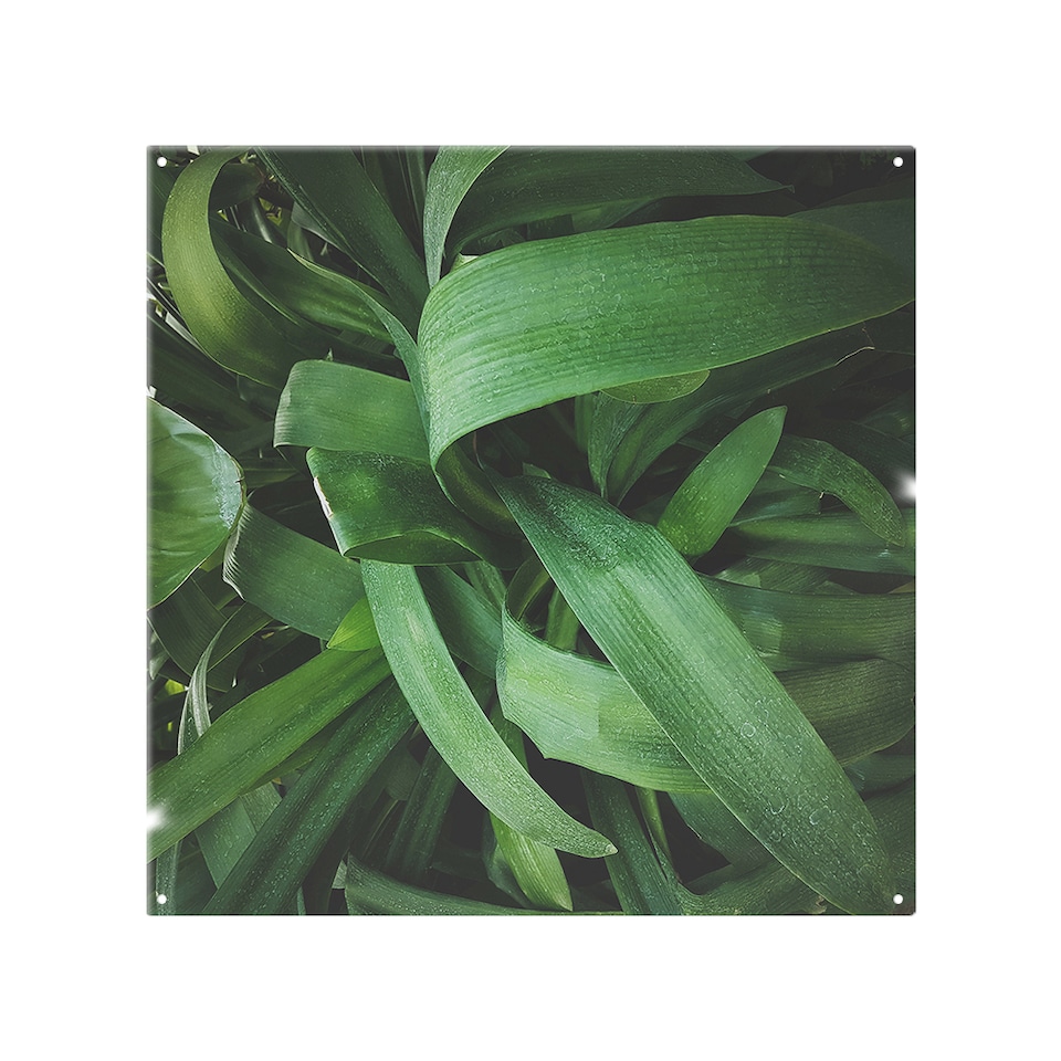 image 1 of Atmospheric background, Selective focus Designer Splash Back | White