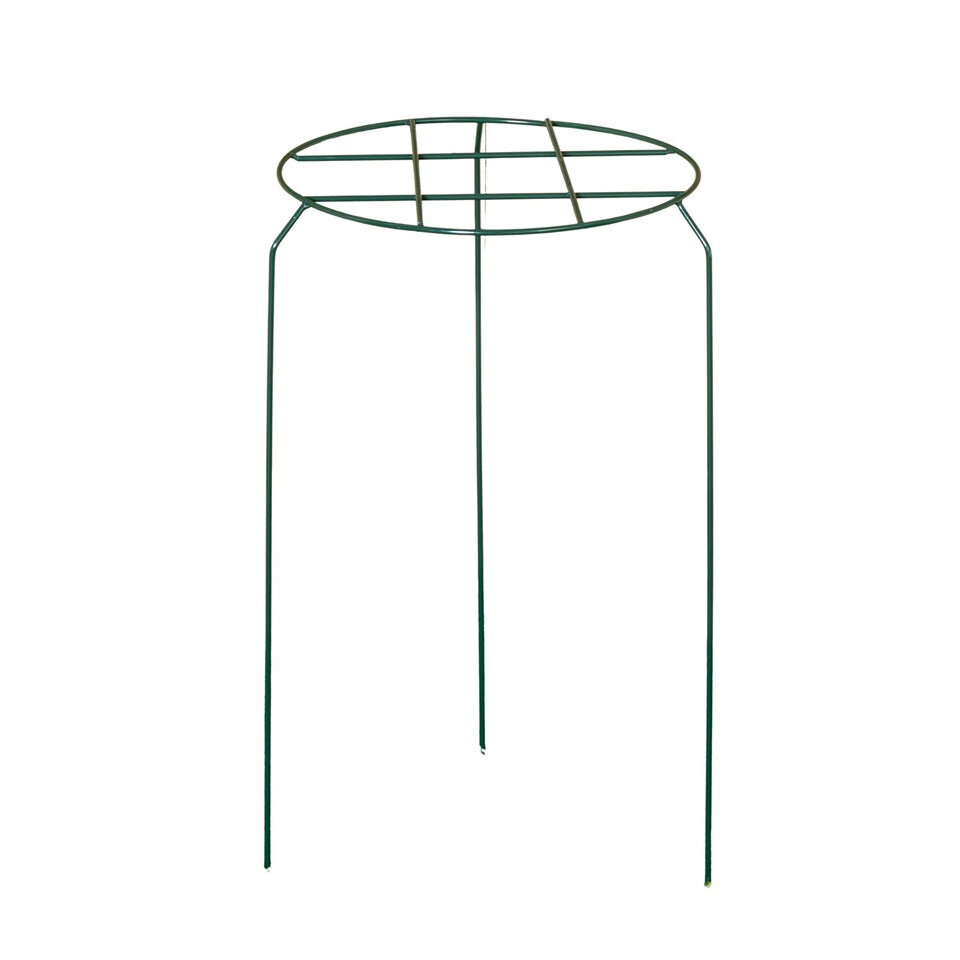 image 1 of Tom Chambers Urban Dark Green Metal Herbaceous Garden Plant Support Grow Through Medium 50cm x 30cm