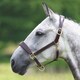 image 2 of Blenheim Leather Travel Horse Headcollar - Havana - Pony