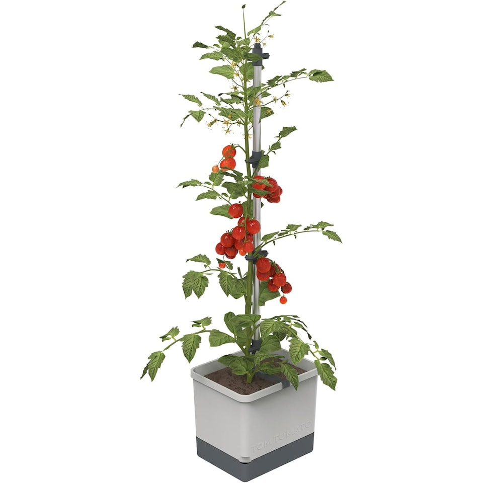 image 1 of Gusta Garden Tom Tomato Tomato Pot Light Grey- Planter with Climbing Aid, Self-Watering System & Plant Clips - 4.5L Water Reservoir & 20L Soil Capacity
