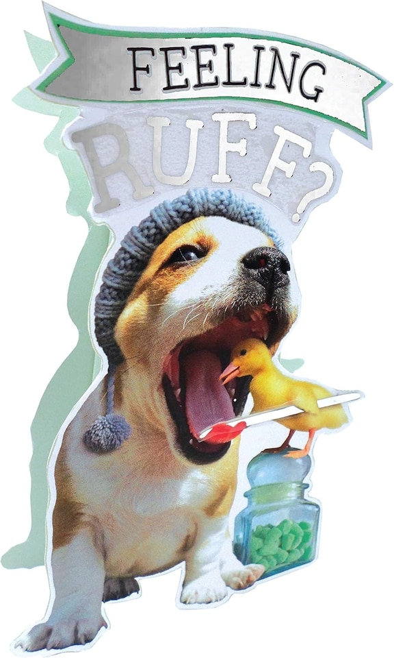 image 1 of Get Well Soon Feeling Ruff 3D Glitter Finished Card