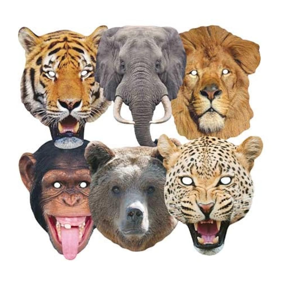Wild Animals Cardboard Face Masks - Pack of 6