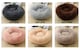 image 4 of Soft Calming Donut Bed - Premium Quality For Dogs & Cats - Light Grey / 100cm | Grey | L