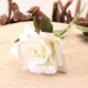 image 1 of Cream Richmond Rose Artificial Silk Flower 42cm