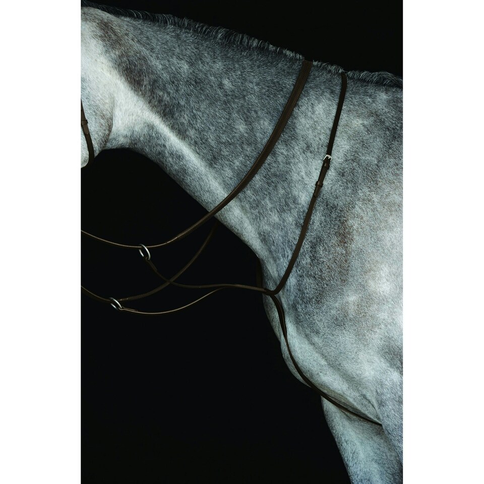 image 1 of Collegiate Leather Running Martingale IV - Brown - Cob
