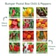 image 2 of Pronto Seed Chilli & Sweet Pepper Seeds Variety Pack – 12 Types, 110 Seeds for Home Growing