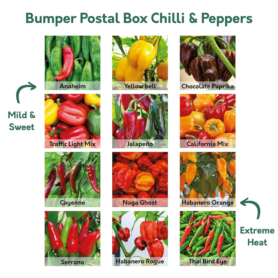 image 1 of Pronto Seed Chilli & Sweet Pepper Seeds Variety Pack – 12 Types, 110 Seeds for Home Growing
