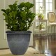 image 2 of Primrose Garden Round Flower Pot Planter Grey 26 x 41 x 41 cm