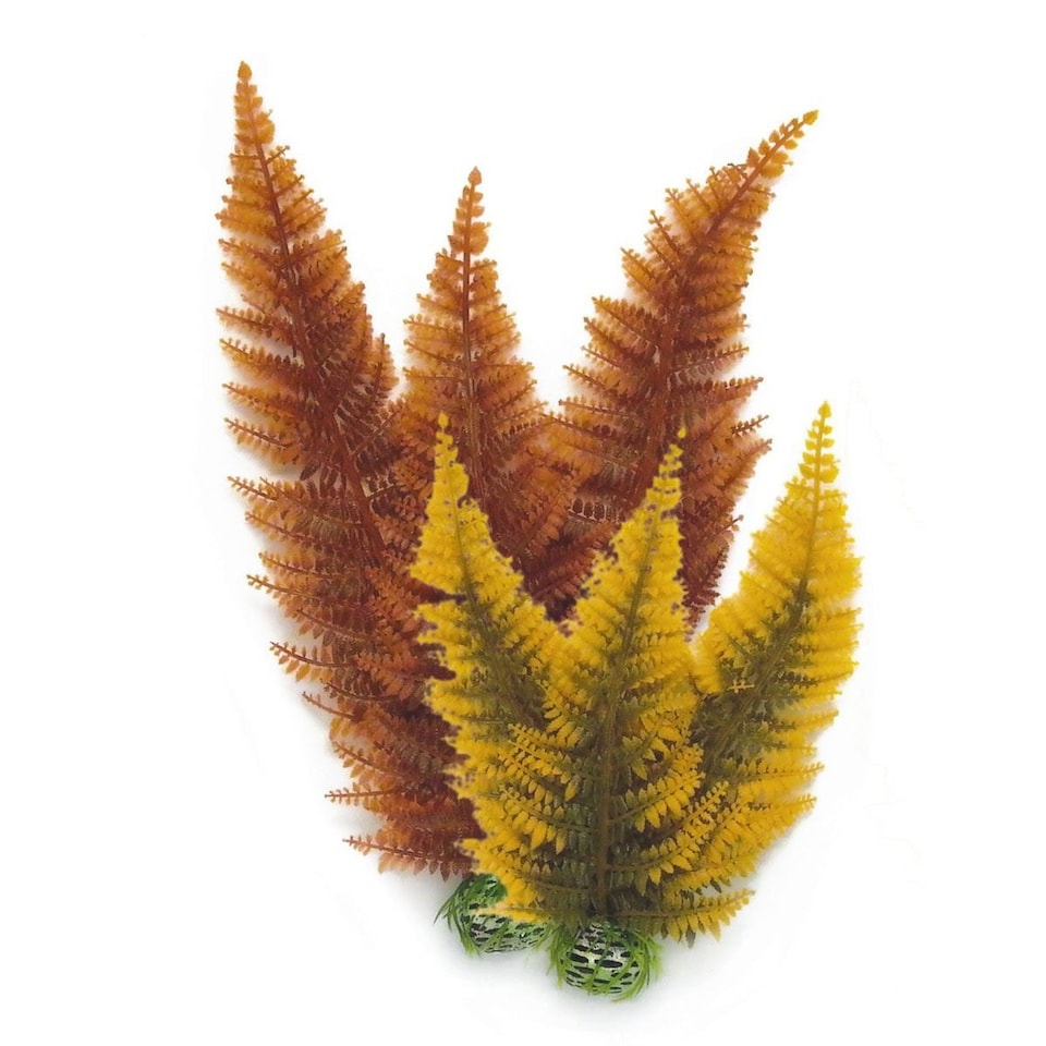 image 1 of Biorb Aquatic Autumn Fern Medium 2pack