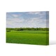 image 1 of Summer landscape with hilly green field and forest in the distance (Canvas Print) 127 x 101 x 4cm