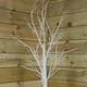 image 4 of 2.4m (8ft) Indoor Outdoor Christmas Lit Birch Tree with 136 Warm White LEDs