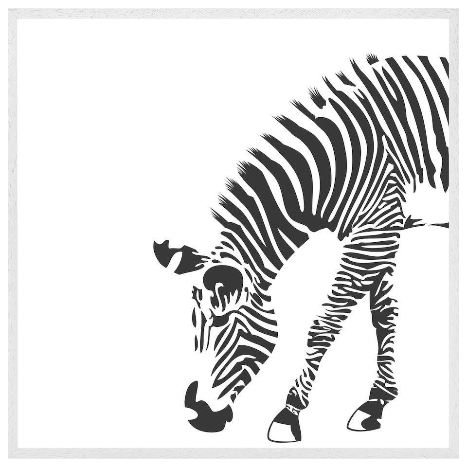 image 1 of Zebra (Picture Frame) White | M