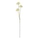 image 1 of Hill Interiors Allium Spray Artificial Flower - Cream - One Size