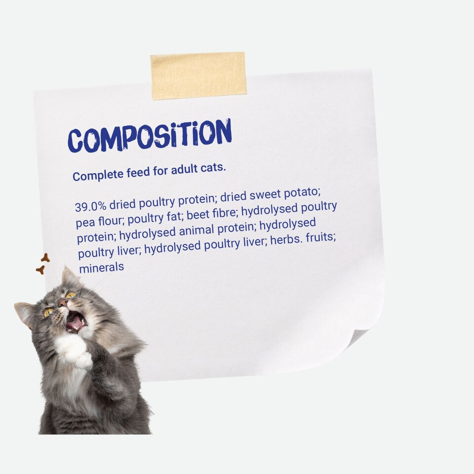 image 1 of Josera DailyCat complete cat food | Grain-free | Ideal for brachycephalic breeds | Chicken & Liver | Anti-hairball | Skin & Coat | Herbs & Fruit | 10kg